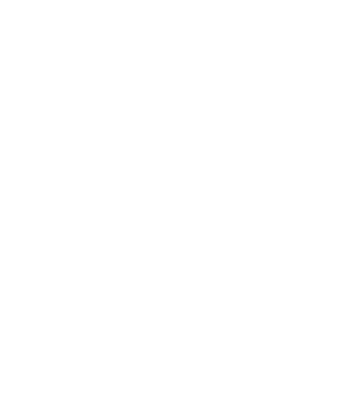 Evolution Glazing emblem